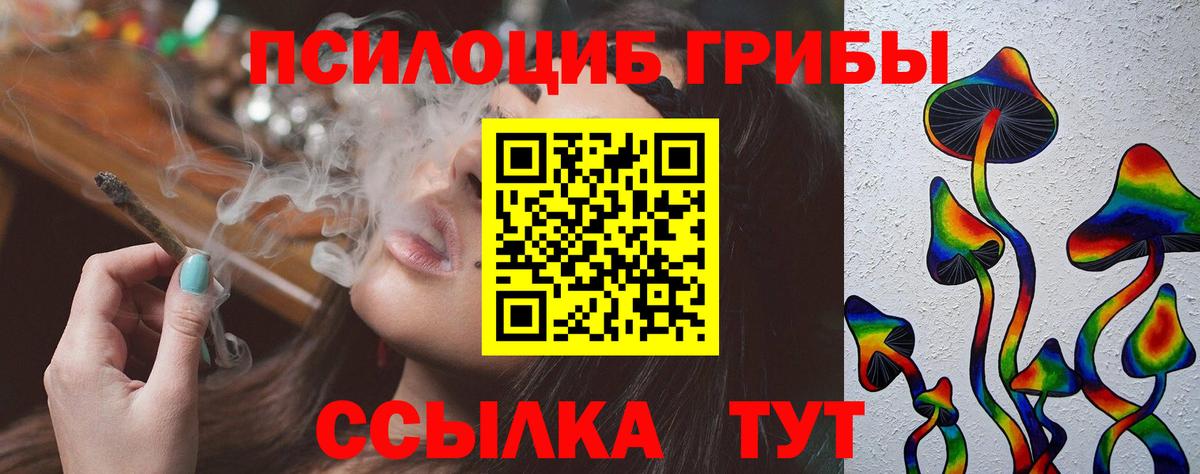 Коряжма  Псилоцибиновые грибы Cubensis  Вход с VPN 