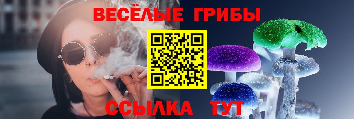 Галлюциногенные грибы MAGIC MUSHROOMS Коряжма